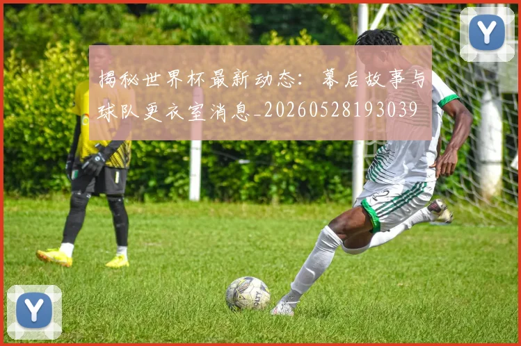 揭秘世界杯最新动态：幕后故事与球队更衣室消息_20260528193039